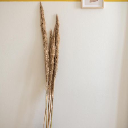 Artemis Apartments Stalós Dış mekan fotoğraf